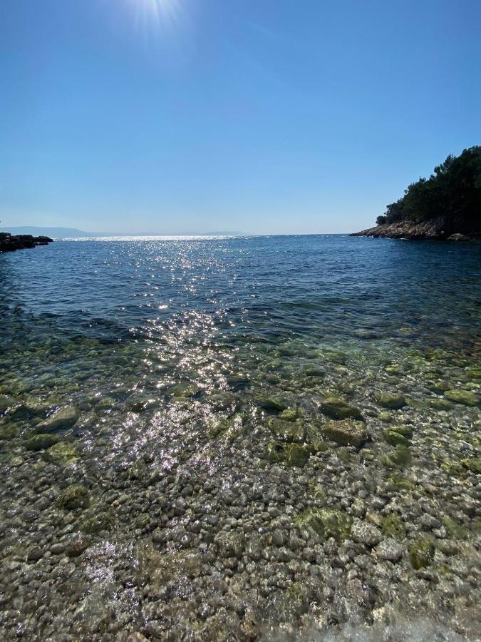 Wellness House Oliva With Heated Salt Water Pool, Sauna & Jakuzzi Labin  Exterior foto