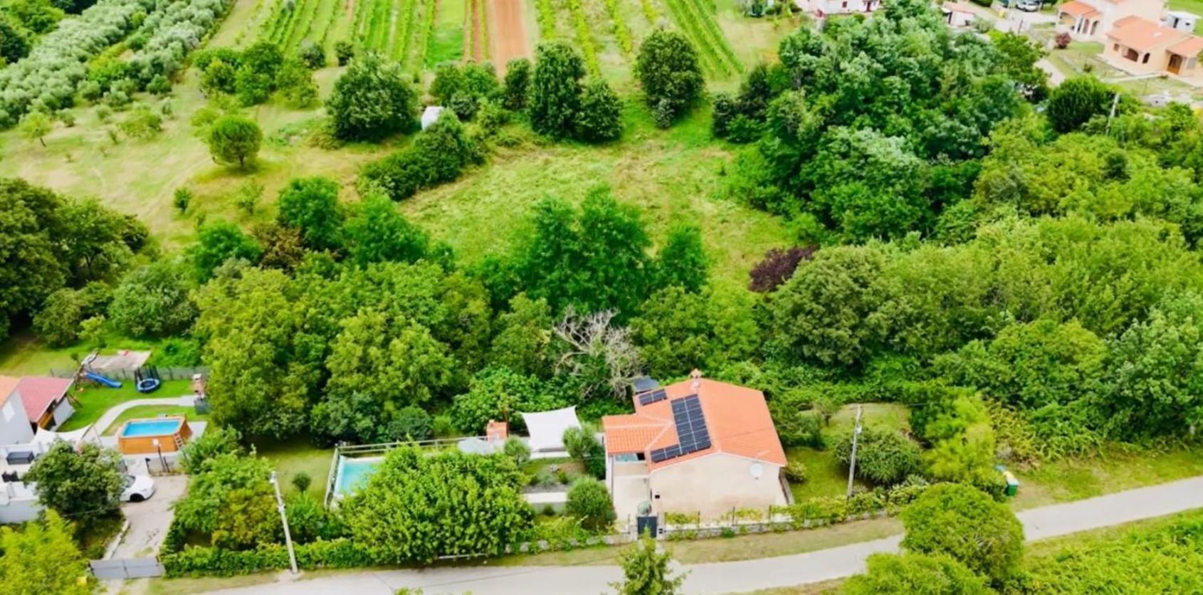 Wellness House Oliva With Heated Salt Water Pool, Sauna & Jakuzzi Labin  Exterior foto